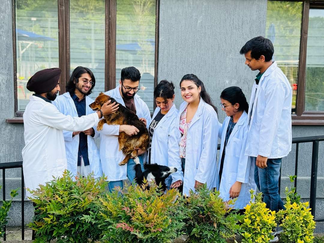 Medical students in classroom